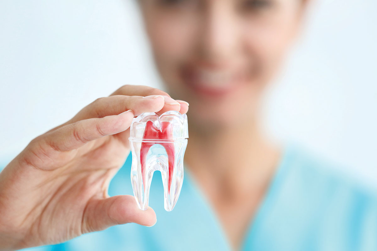 Endodonti - 3